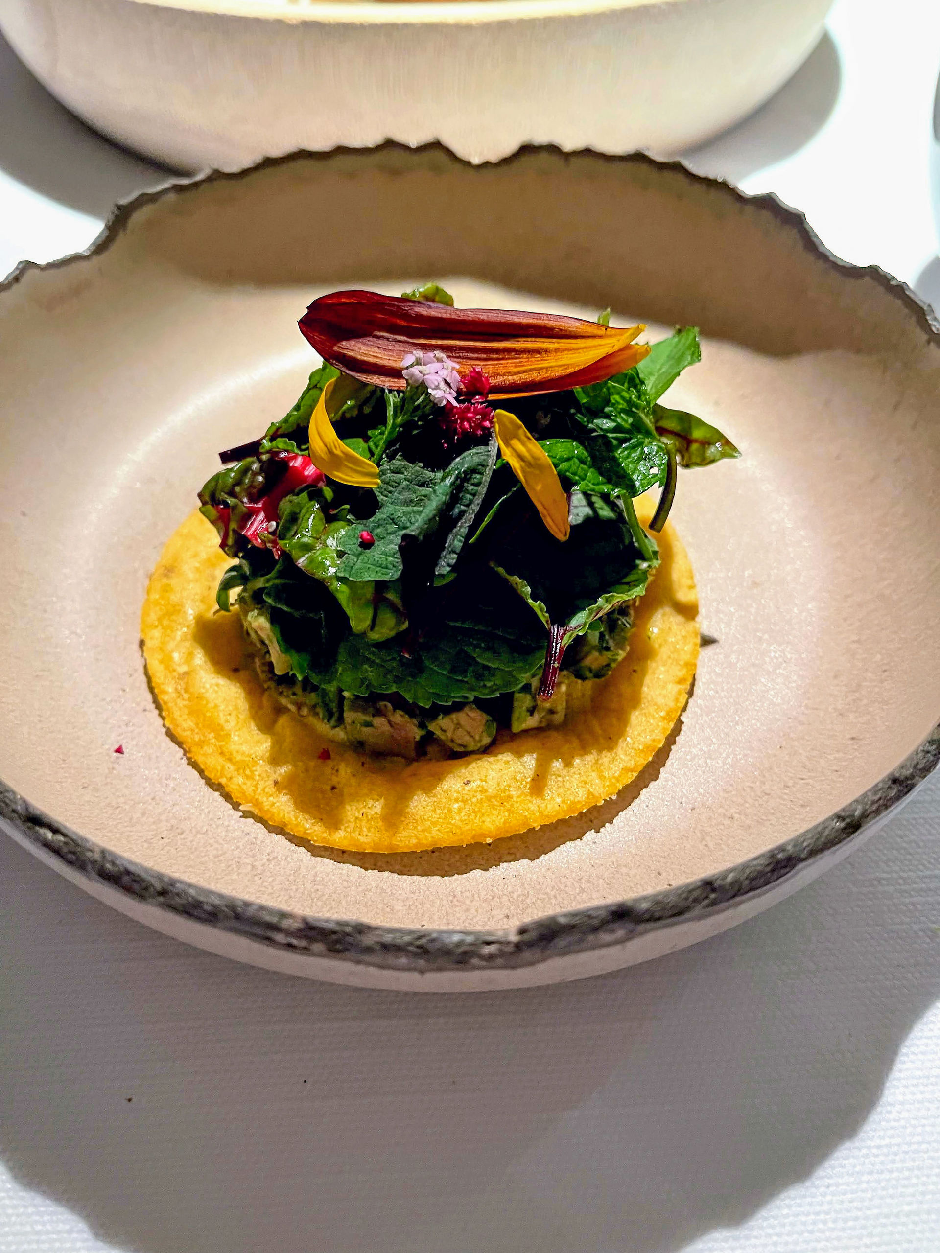 Michelin star meal main course at Hisa Franko restaurant in Slovenia, most beautiful country on earth. Best travel blog. Luxury travel blog. Michelin restaurant. Best destinations. Beautiful place.