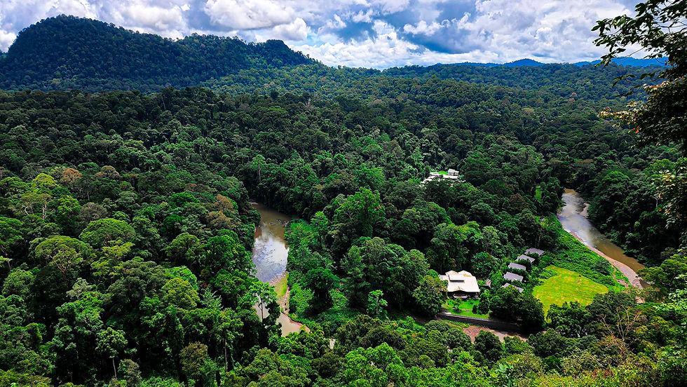 Overview of rainforest and lodge in Borneo, Malaysia on Elegant Escape the best luxury Travel Blog.
