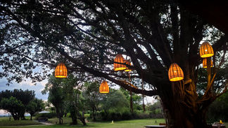 Hanging lanterns from trees at Luxury Safari &beyond in Masai Mara at the Kichwa Tembo camp. Luxury travel blog. Best travel blog. Best African Safari.