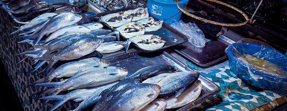 Fresh fish market in the morning in Coron, El Nido or Coron Philippines travel blog suggestion. Best travel Blog. Luxury Travel. Travel Reviews. Best Blog.