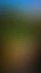 Luxury tent entrance at Oberoi Vanyavilas hotel in Ranthambore, India, on Elegant Escape, the best luxury Travel Blog.