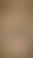 Monkey holding it's baby in Ranthambore, India, on Elegant Escape the best luxury Travel Blog.