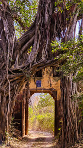 Zone 3 entry gate in Ranthambore, India, on Elegant Escape the best luxury Travel Blog.