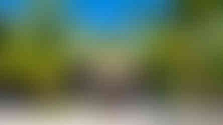 Beachfront ocean view room at the Sok San Resort in Koh Rong Island, Cambodia on Elegant Escape the best luxury Travel Blog.