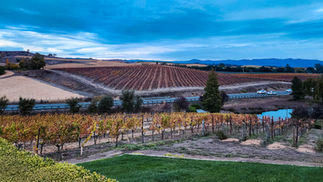 Beautiful landscape overlooking Vineyards from Domaine Carneros Winery in Napa Valley