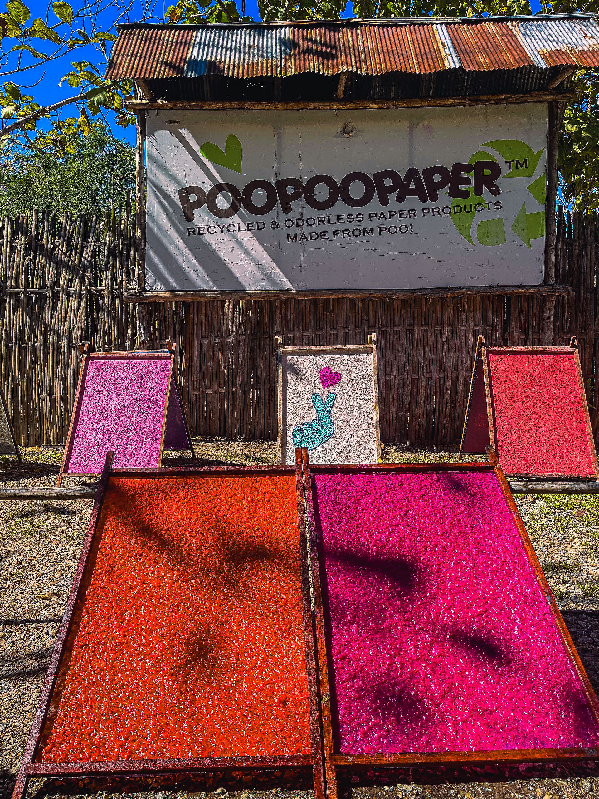 Art on elephant poo paper at poopoopaper in Chiang Mai Thailand. Travel Blog. What to do in Chiang Mai. Guide.
