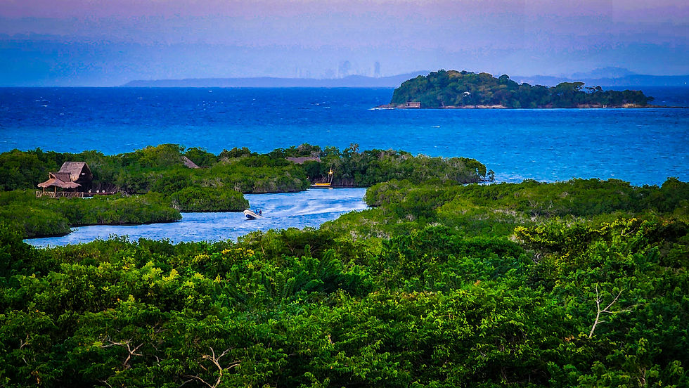 Overlooking the resort from the sunset bar at dawn at Las Islas Baru, Rosario Islands, Cartagena, Colombia, Luxury hotel, luxury resort, luxury blog, travel blog, hotel review.