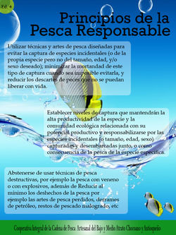 Boletín Principios de la Pesca Ed.4
