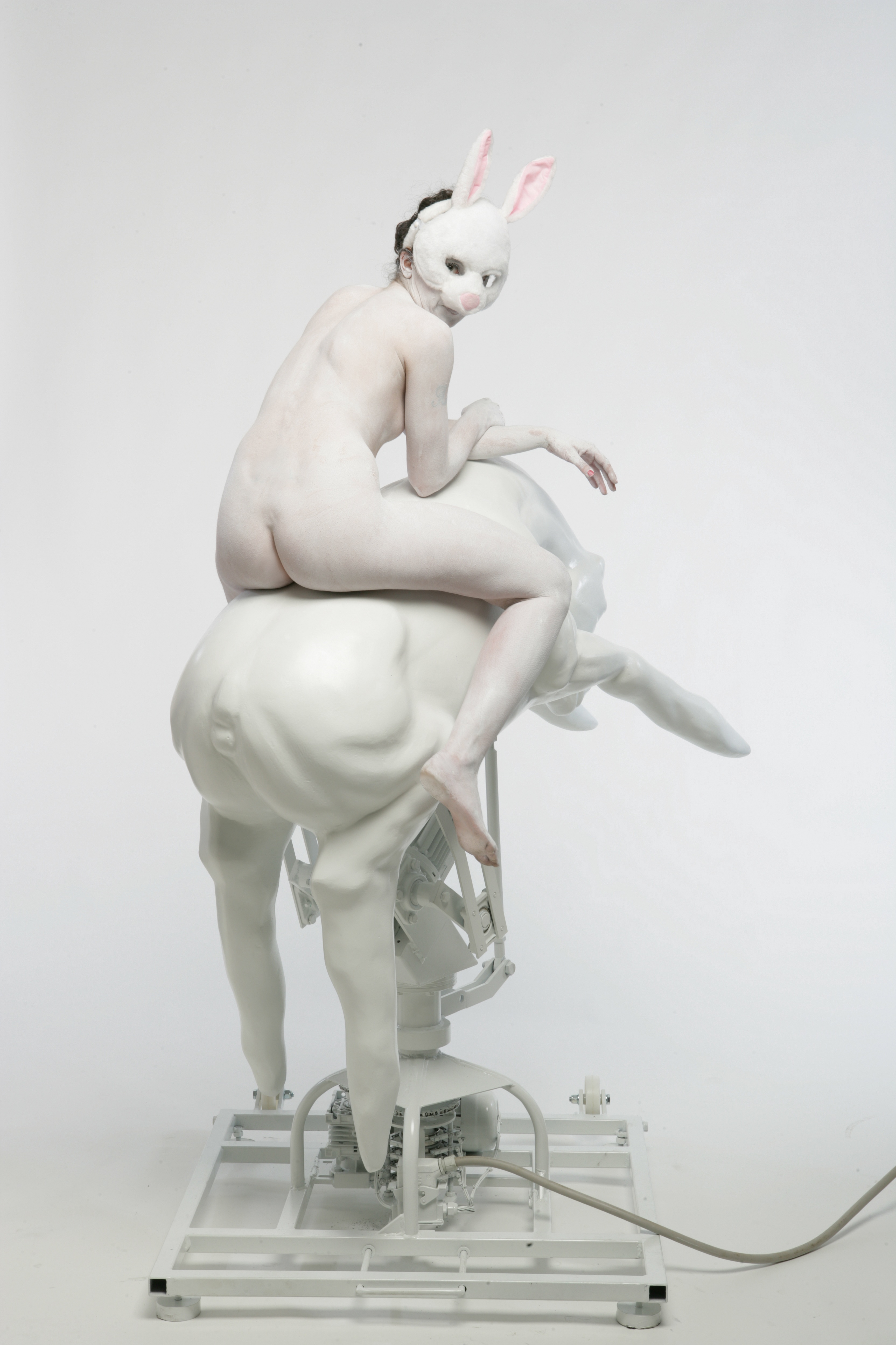 white rabbit