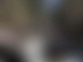 Yosemite National Park Pt. 3