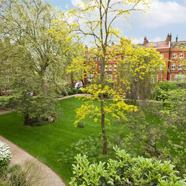 Virtual Open Square Gardens