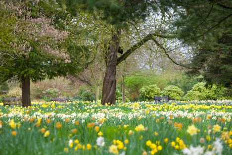 Historic Outings - Bunny Hunt 