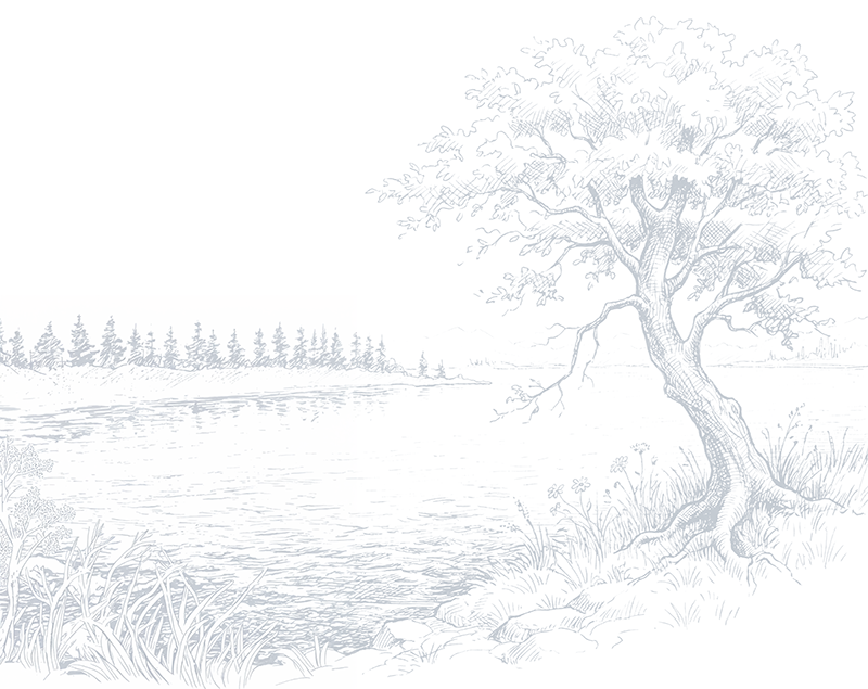 hamburger-menu-tree-lake-sketch.png