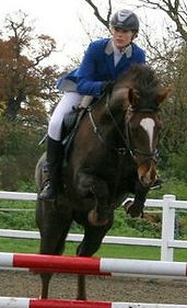 Bolgoed Lady Legend, Cash Legend, Stallion