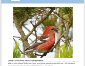 Newsletter #186 coming soon...