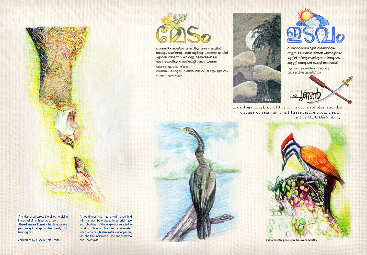 Birds-1alt.jpg