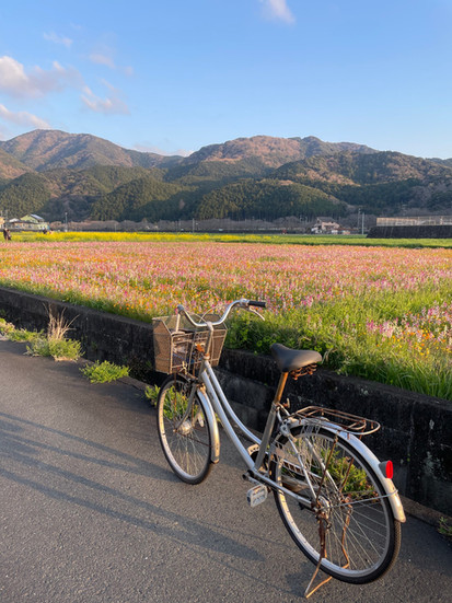 Ma bike