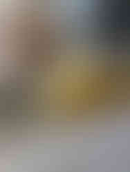 Dead bee body filter