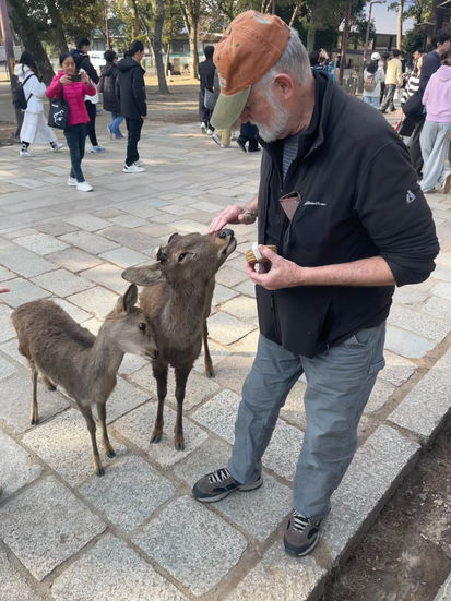 Mark feeding the deer in Nara