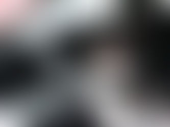 A dog in the car for a road trip