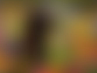 Toxic Spring Beauties To Watch Out For