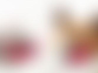 Show Your Pet Some Love This Valentine's Day 