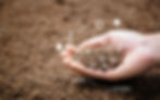 A hand holding soil and the nutrients that fertilizer will include in the soil