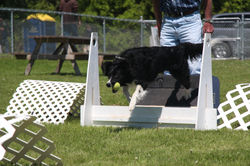 beautiful box turn, Beau!