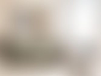 Toy Storage and Organization