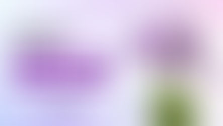 In November we wear purple!