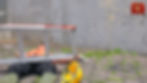 National Ladder Safety Month