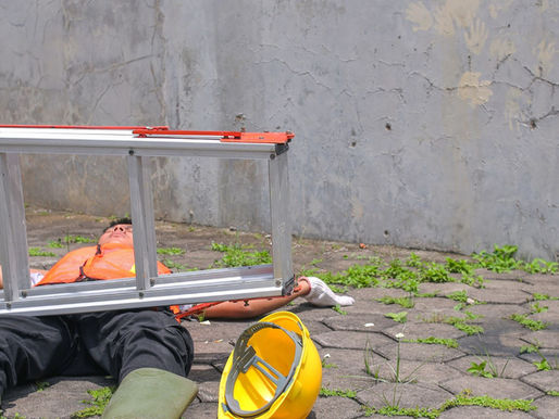  National Ladder Safety 