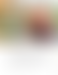 Susan Stanhope shares how her mother's journey with Alzheimer's shapes her compassion to those Move Elders with Ease serves