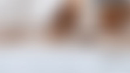 Pet Health with Dr. Ava Frick