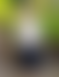 Susan Stanhope plays crystal sound bowls with quote about helping seniors unpack and settle into their new homes