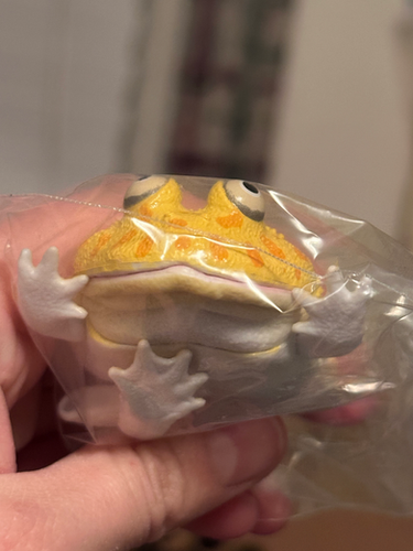 Budgett's Frog Albino Capsule Toy Gachapon FROM JAPAN! | CatAleah