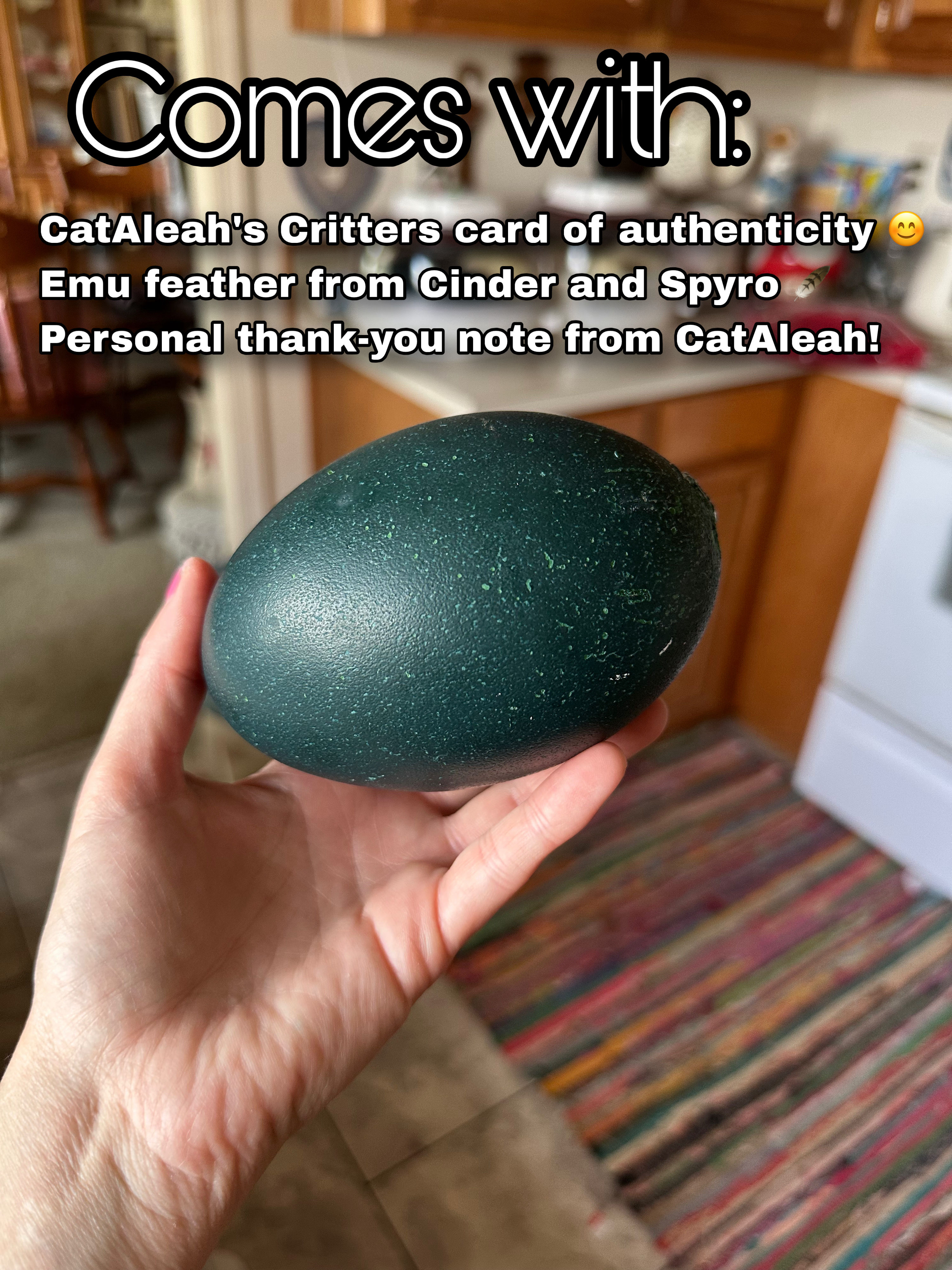 EMU EGG from Spyro and Cinder! Empty Shell (for crafts or display etc)