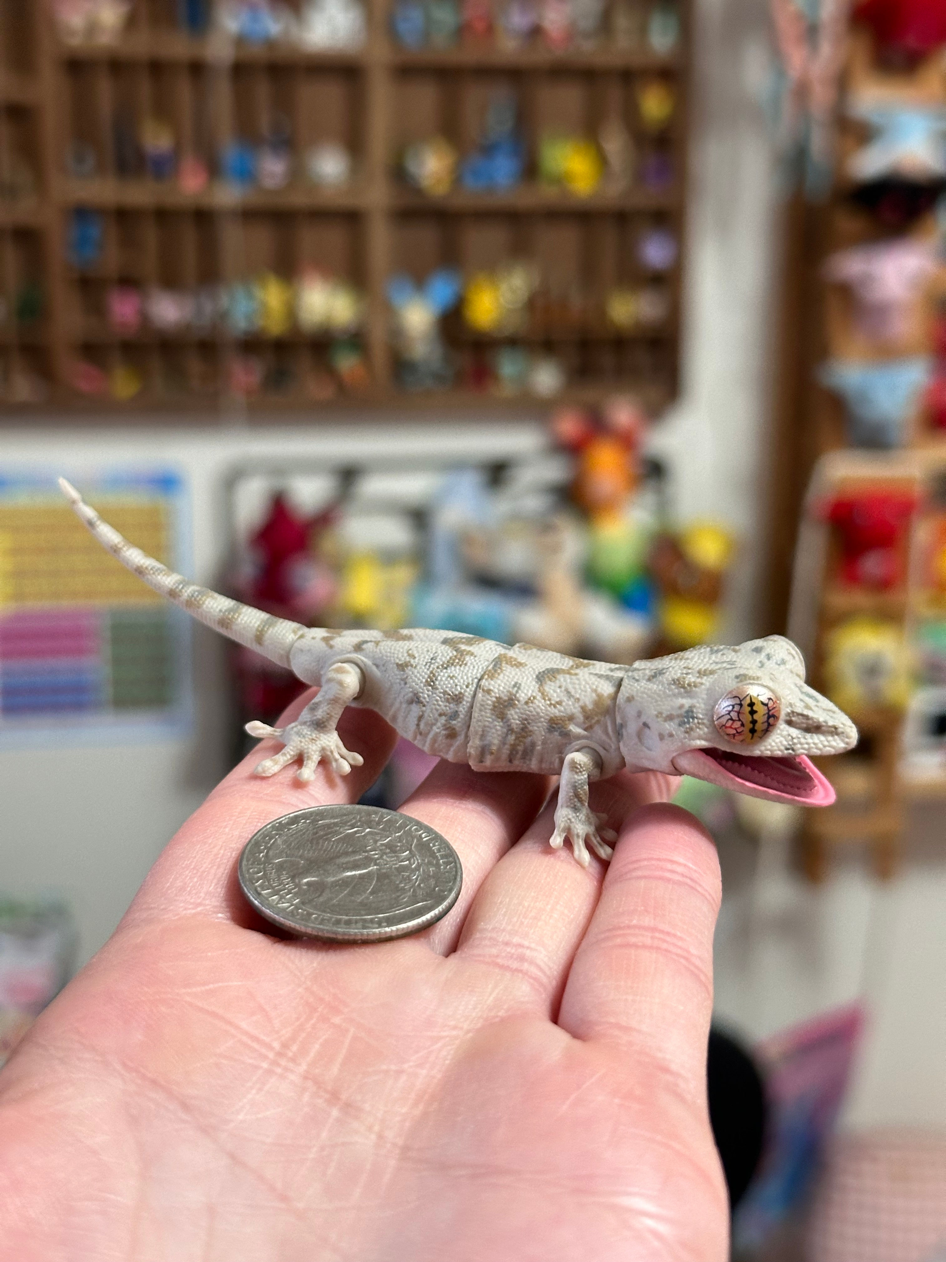 Cute Japanese Schlegel's Gecko Gachapon Toy From Japan - NEW RELEASE