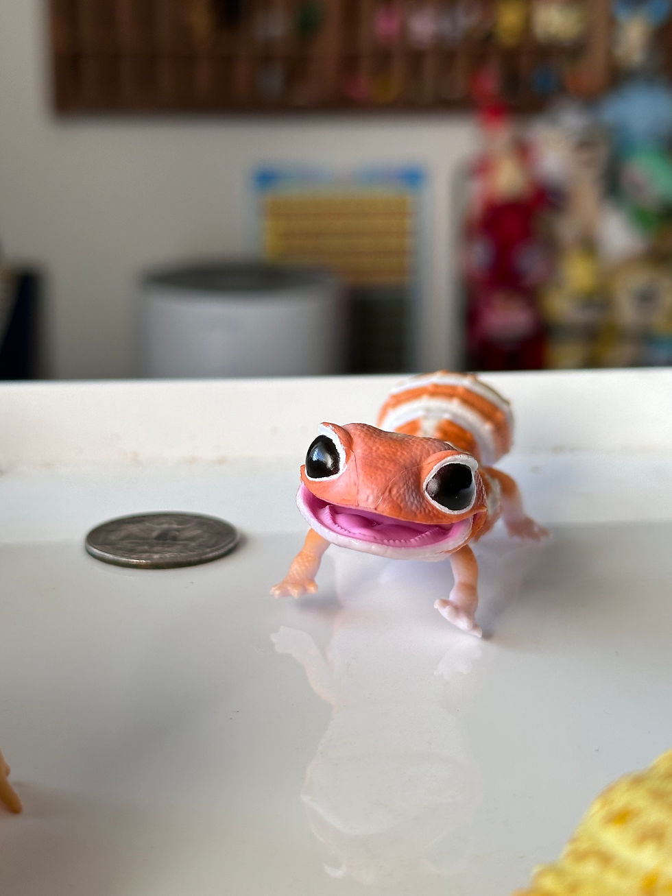Cute Orange Fat-Tailed Gecko Capsule Toy Gashapon FROM JAPAN! - NEW RELEASE  | CatAleah