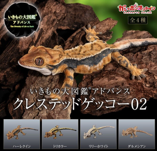 NEW RELEASE Crested Gecko Capsule Toy Gashapon FROM JAPAN