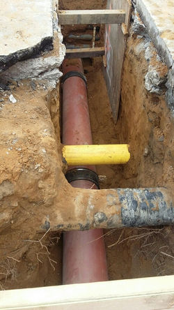 5568CFF4-2898-4E66-9535-04DCE391232C