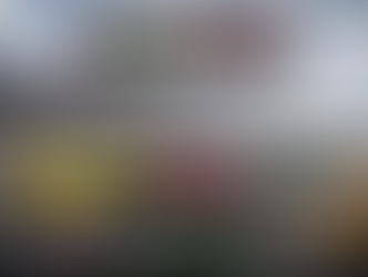 NASCAR O'Reilly Auto Parts Series Talladega DFS