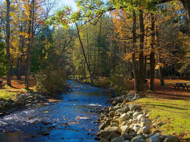 saratogainthefall.jpeg