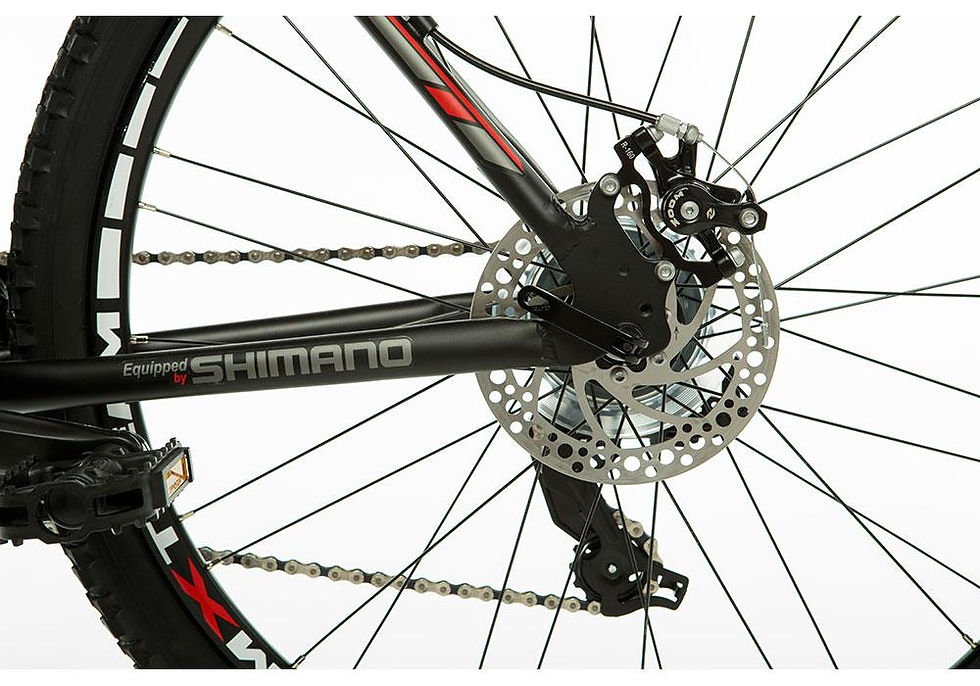 Miniature : VTT adulte taille L