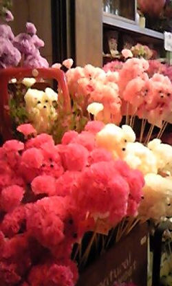 プードルピック