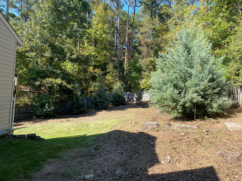 Brush Cleanup (AFTER)