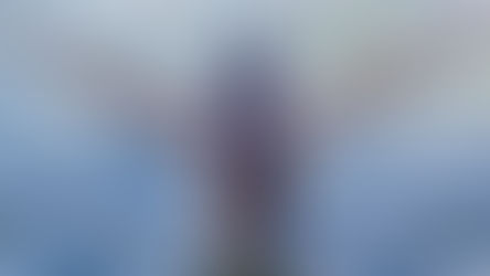 Exposition à la galerie l'Atrium 9 rue du pont à Chalon-Sur-Saône