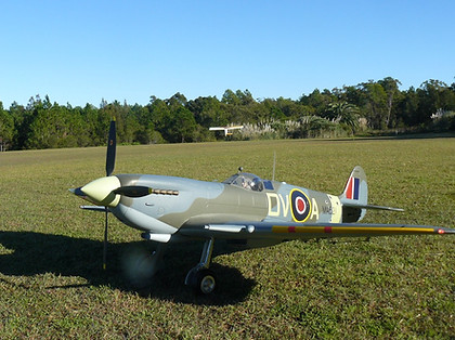 P1100458.JPG