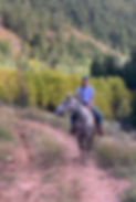 Owner Shelby Gray riding a horse in Wyoming