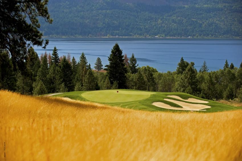 Image result for talking rock